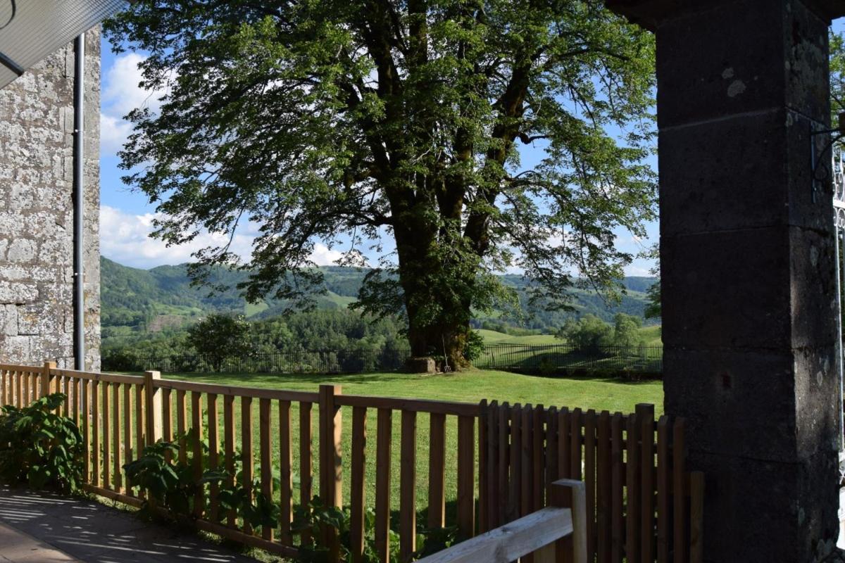 Gite 4 Personnes Dans Le Cantal Animaux Bienvenus Lascelle Buitenkant foto